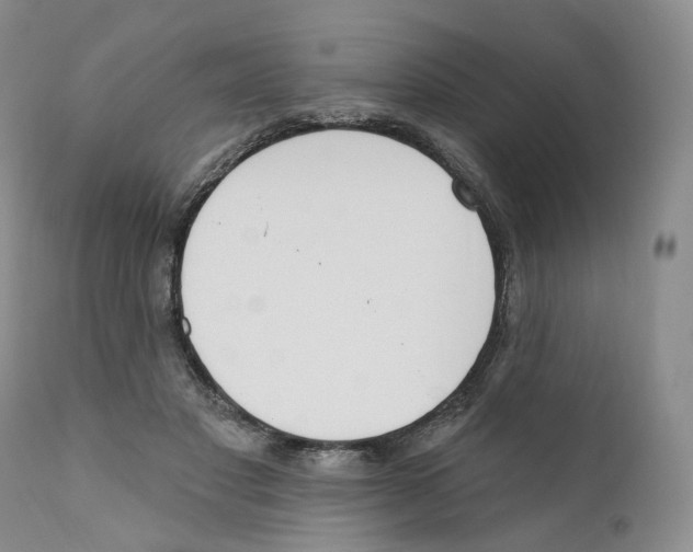 X0000110900501200907161555