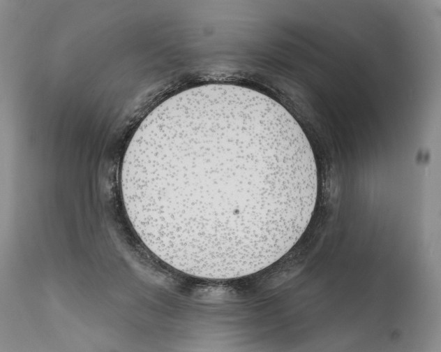 X0000110900503200907161555