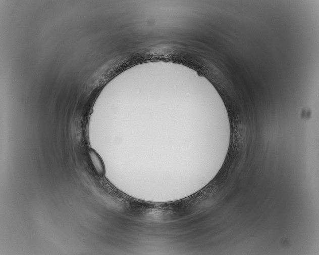 X0000110900504200907161555