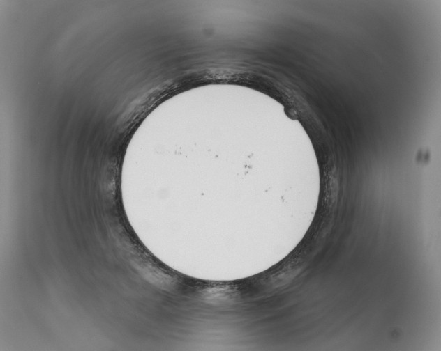 X0000110900505200907161555