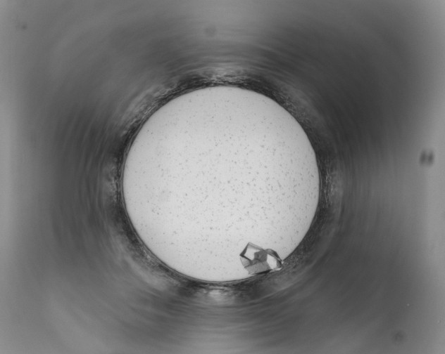 X0000110900506200907161555