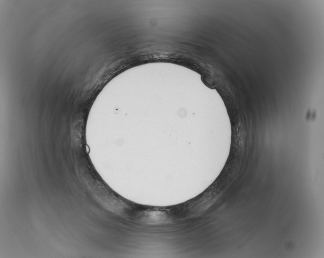 X0000110900509200907161555