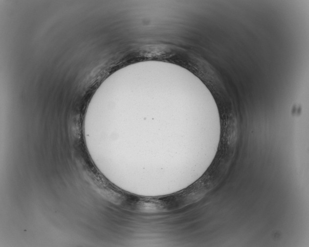 X0000110900510200907161555