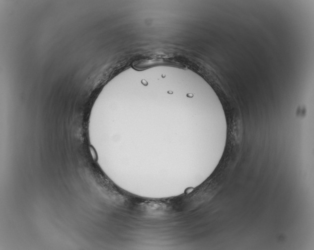 X0000110900512200907161555