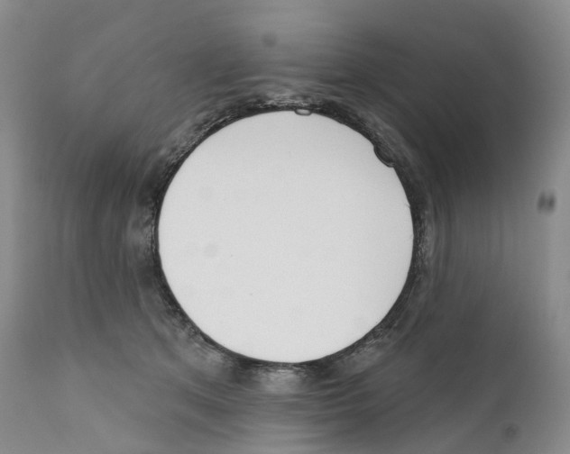 X0000110900513200907161555