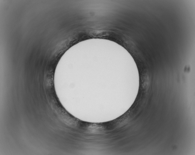 X0000110900515200907161555