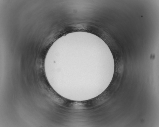 X0000110900518200907161555