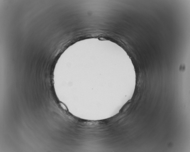 X0000110900524200907161555