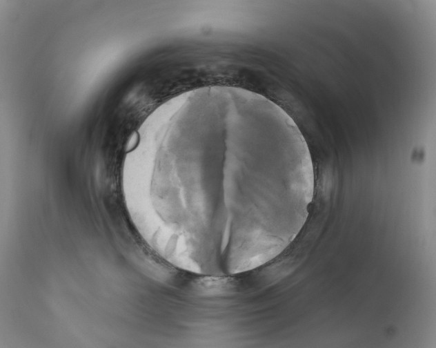 X0000110900526200907161555