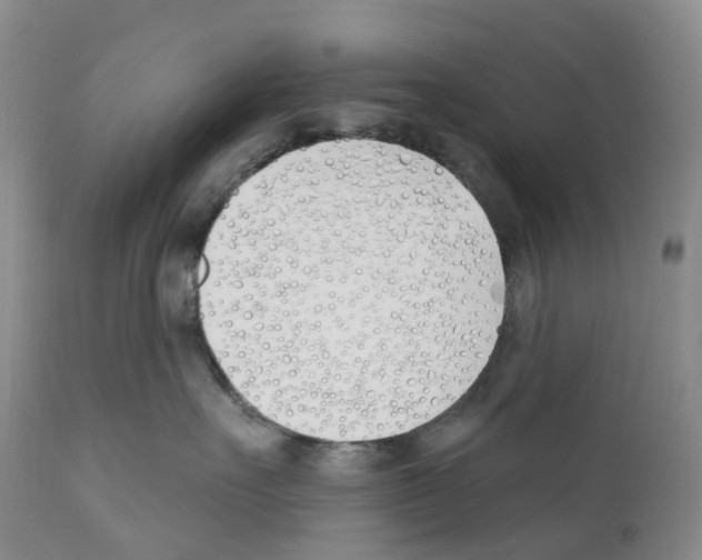 X0000110900527200907161555