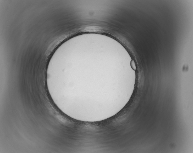 X0000110900529200907161554