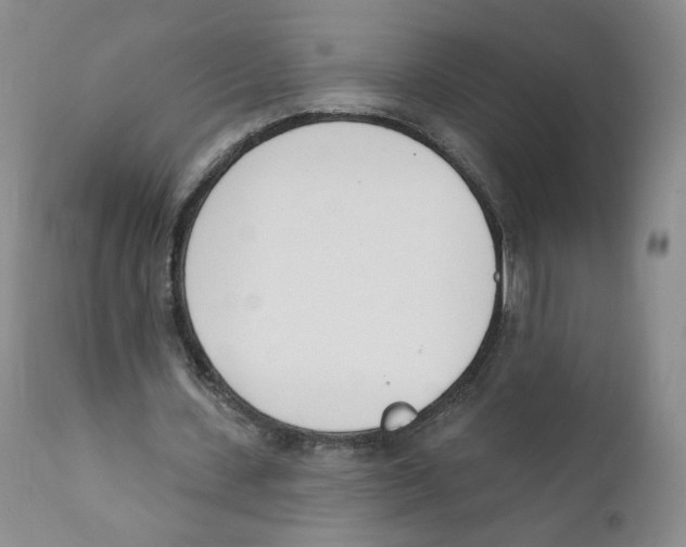 X0000110900531200907161554