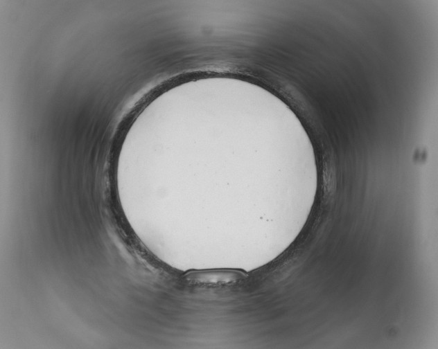 X0000110900532200907161554