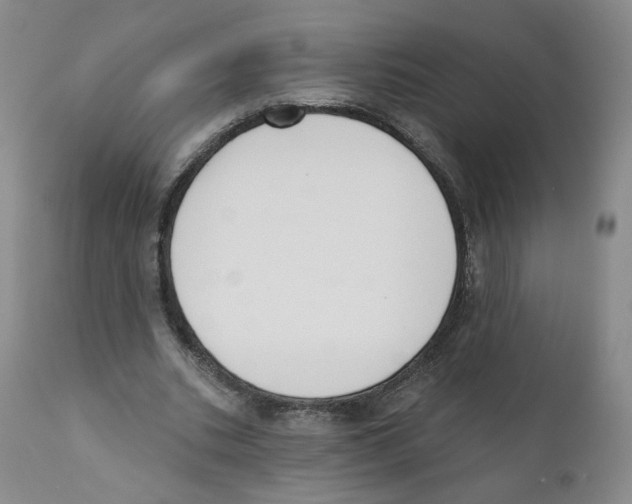 X0000110900535200907161554