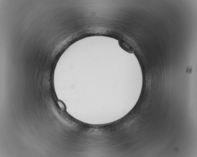 X0000110900538200907161554