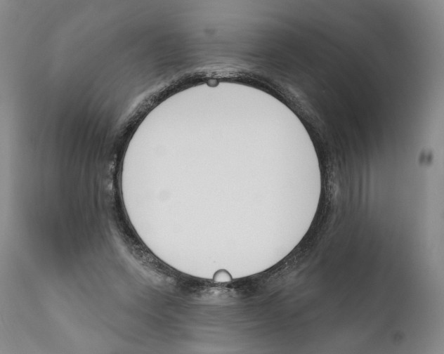 X0000110900543200907161554