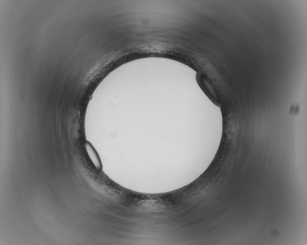 X0000110900544200907161554