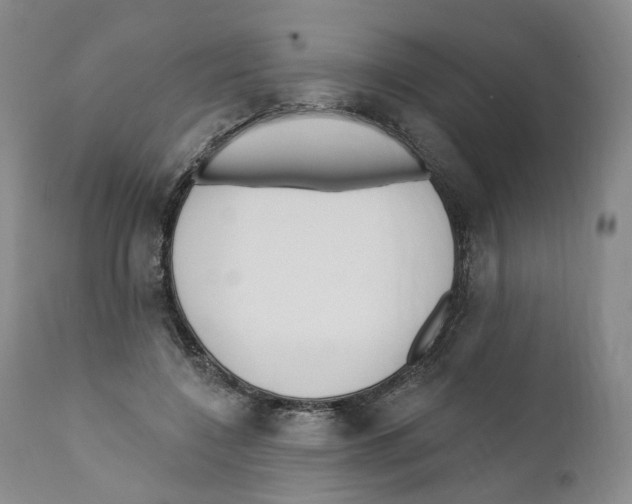 X0000110900548200907161554