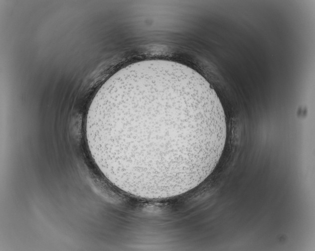 X0000110900550200907161554