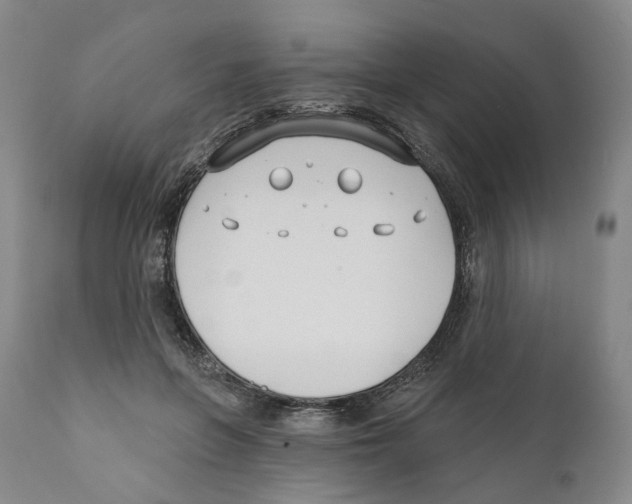 X0000110900551200907161554