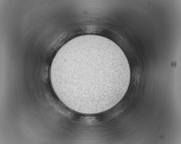 X0000110900554200907161554