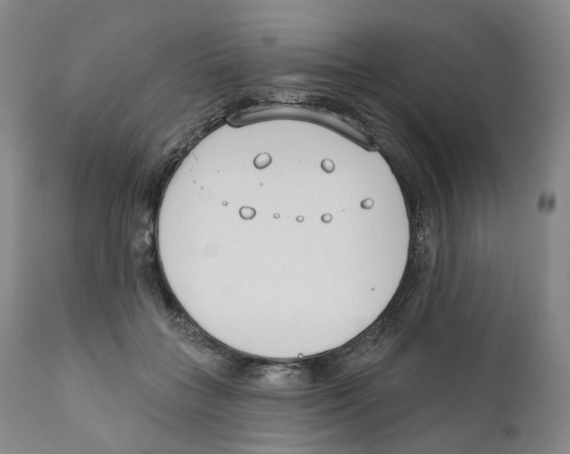 X0000110900555200907161554