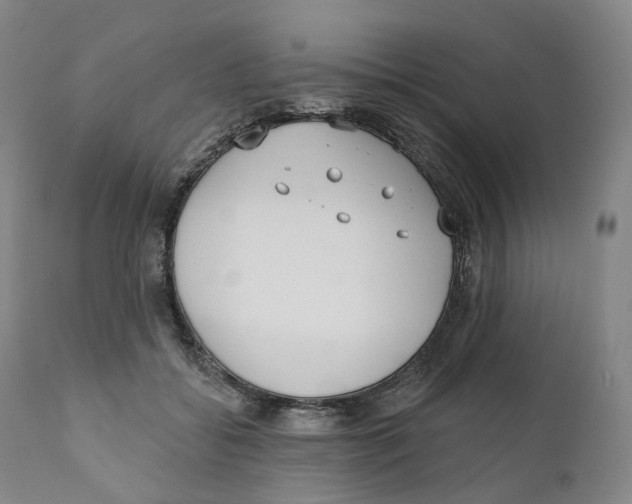 X0000110900556200907161554