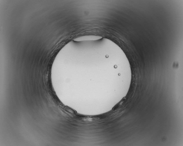 X0000110900558200907161554