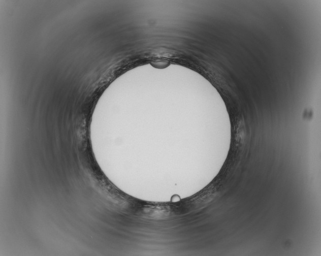 X0000110900559200907161554