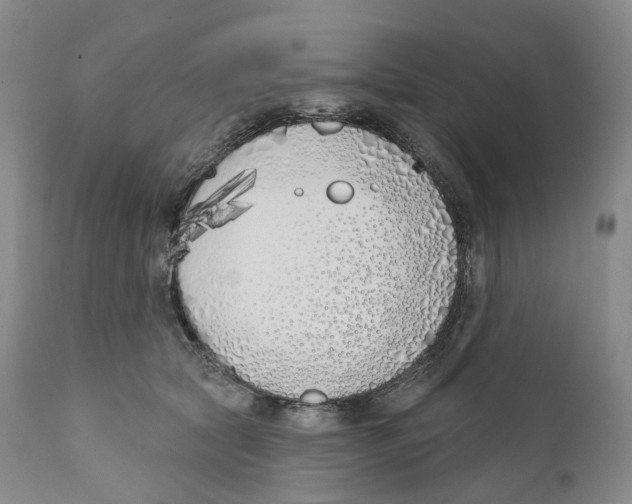 X0000110900561200907161554