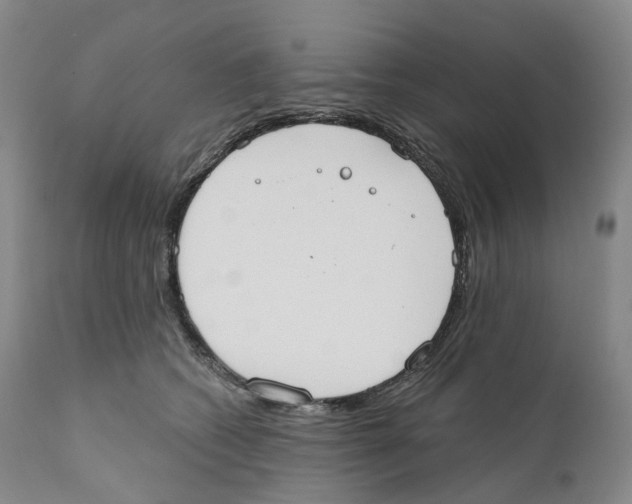 X0000110900562200907161554