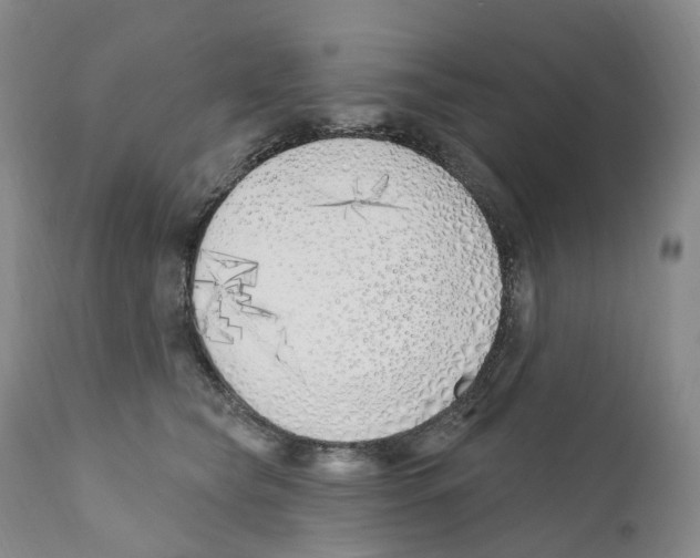 X0000110900565200907161554