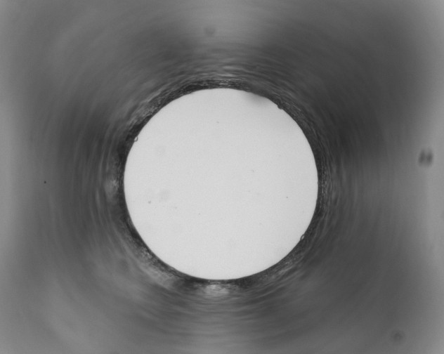 X0000110900566200907161554