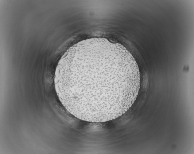 X0000110900569200907161555