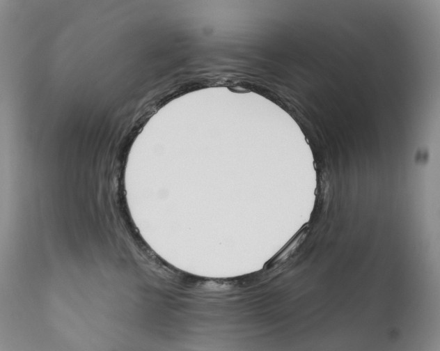 X0000110900570200907161555