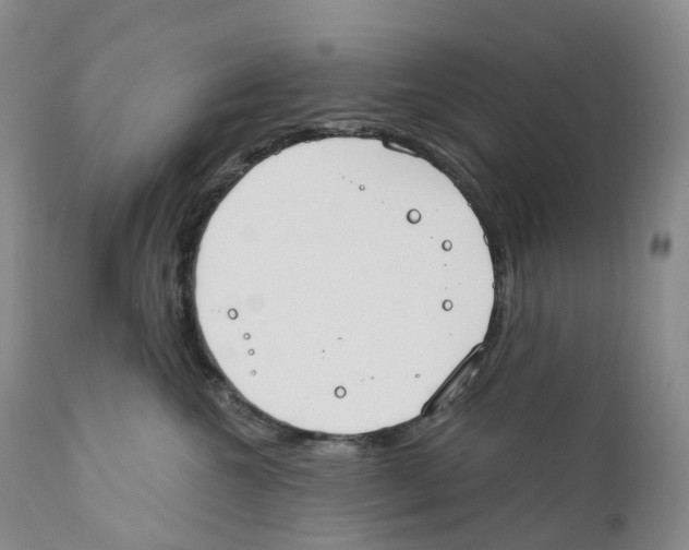 X0000110900572200907161555