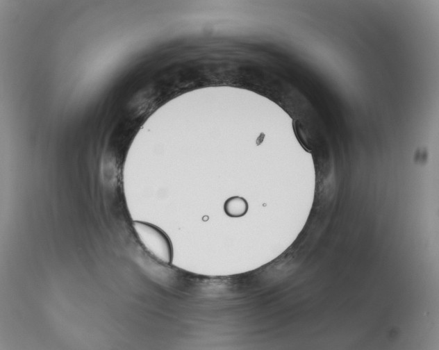 X0000110900574200907161555