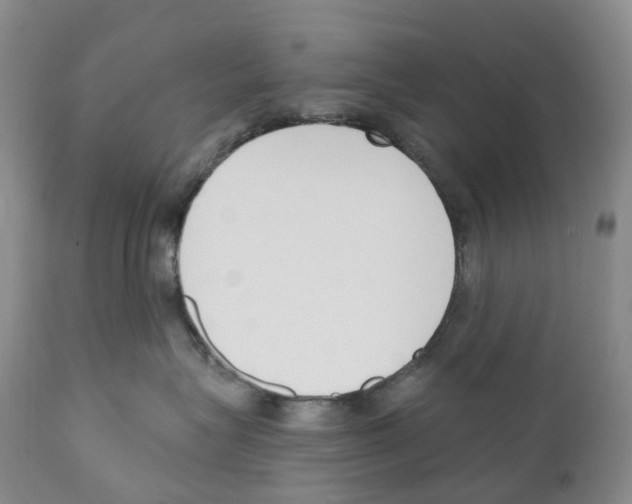 X0000110900575200907161555