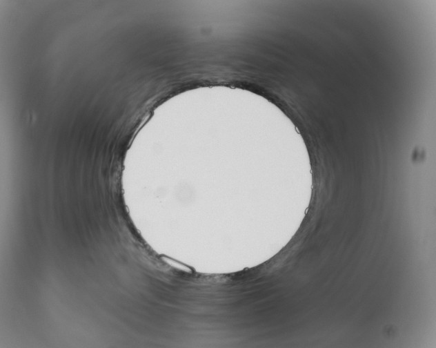 X0000110900576200907161555