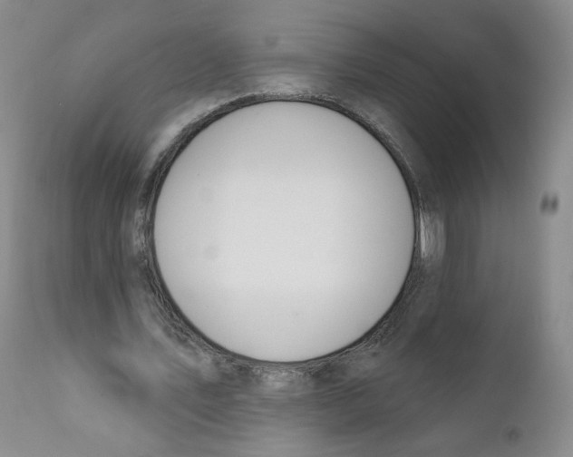 X0000110900579200907161554