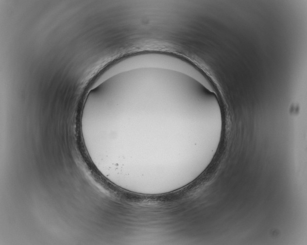 X0000110900581200907161554