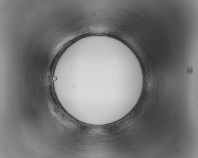 X0000110900583200907161554