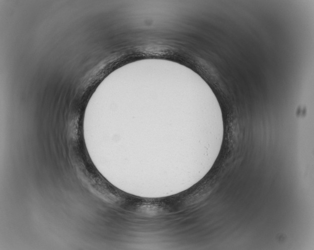 X0000110900596200907161553