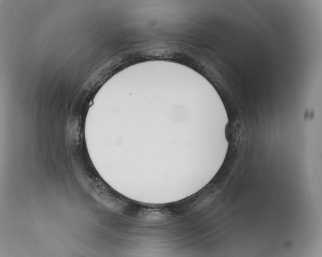 X0000110900597200907161553