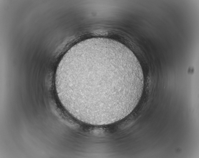 X0000110900600200907161553