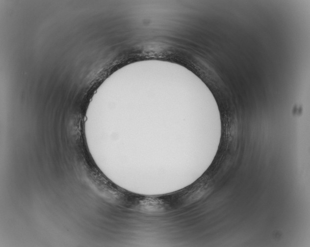 X0000110900603200907161553