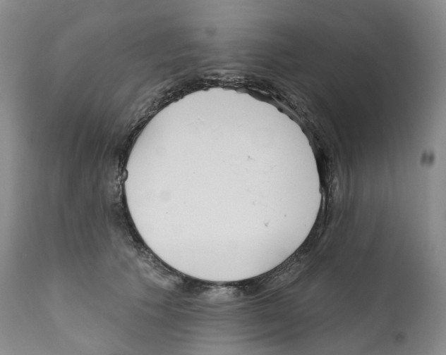 X0000110900609200907161553