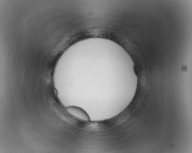 X0000110900611200907161553