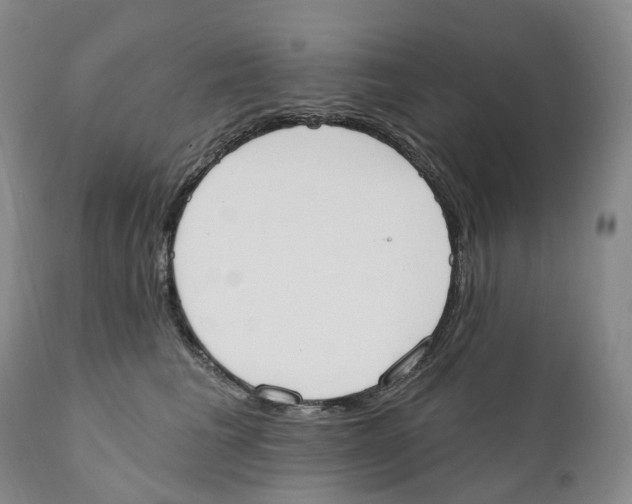 X0000110900613200907161553