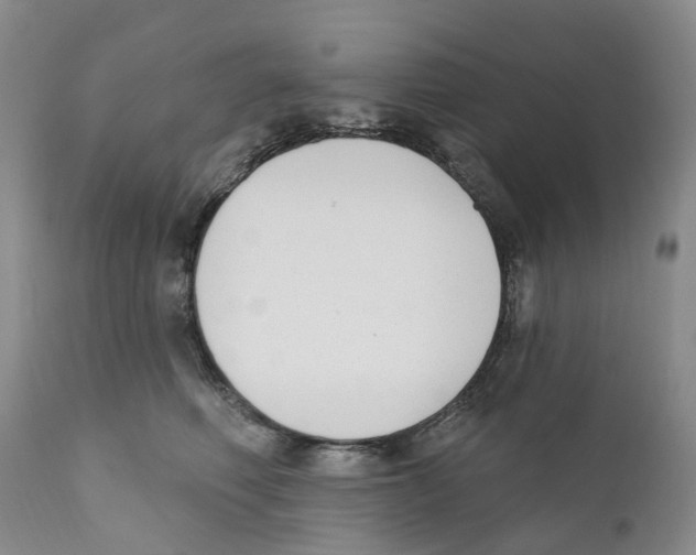 X0000110900614200907161553